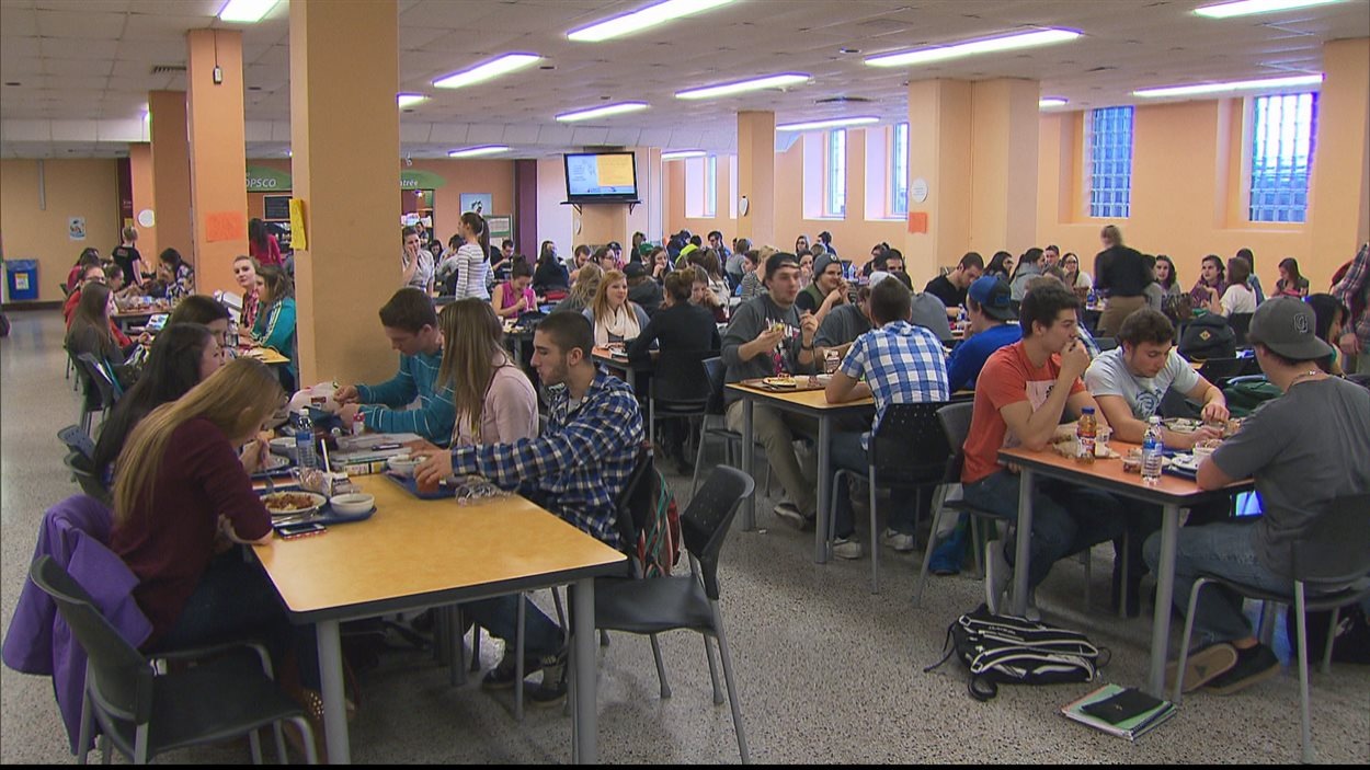 Projet Pilote De Compostage Au Cegep De Rimouski Radio Canada Ca