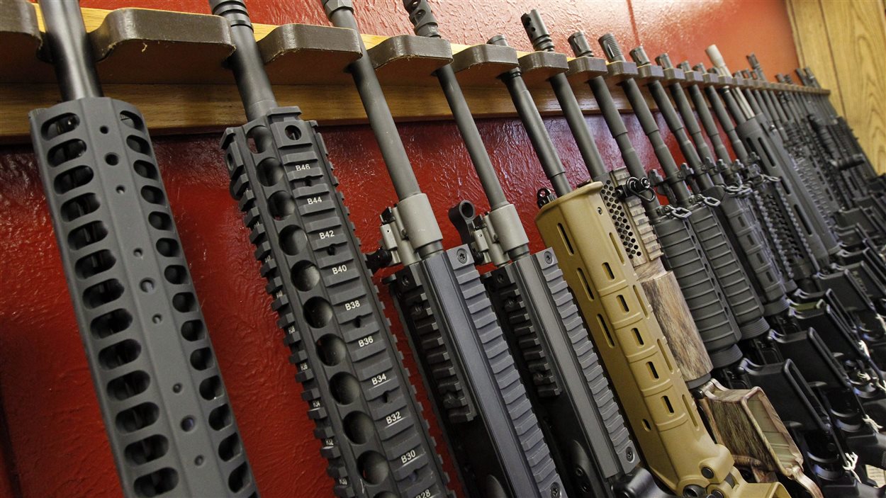 Fusils AR-15
