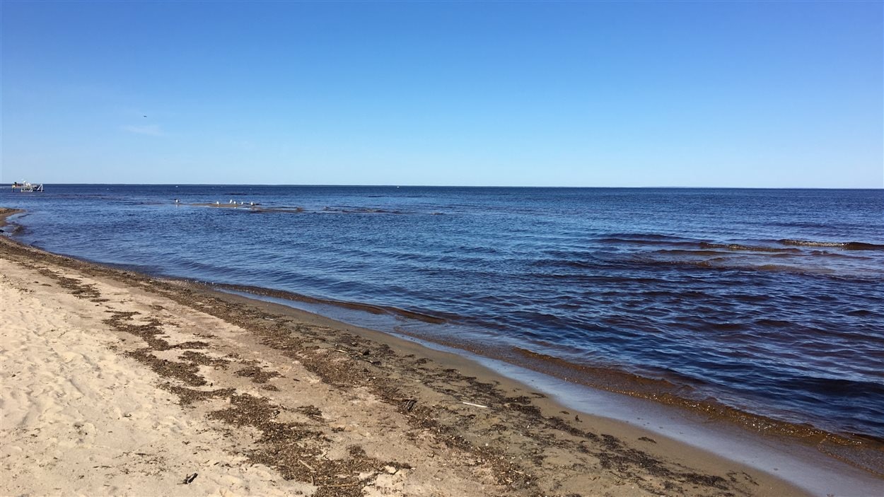 Le lac Saint-Jean