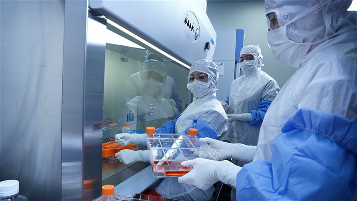 Des employés de laboratoire