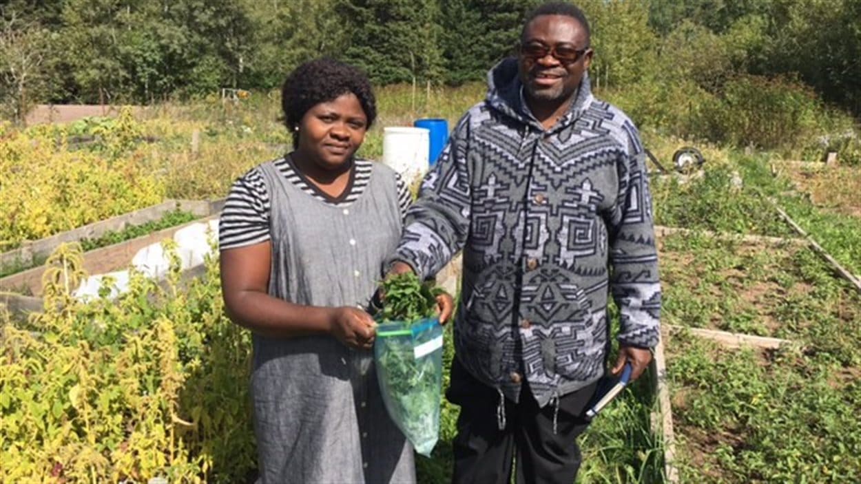 Un couple originaire de République démocratique du Congo tiennent un sac de légumes africains amassés dans le jardin communautaire de Moncton.