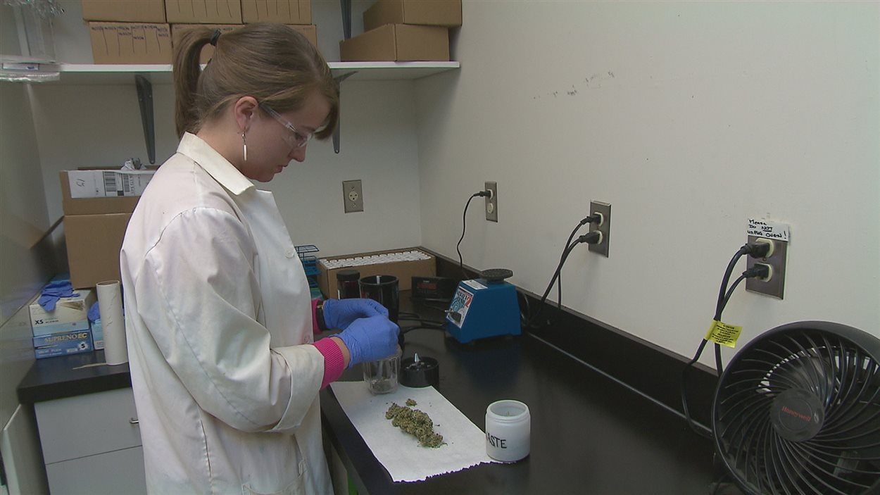 Laboratoire Analyse Saint Jean Pied De Port