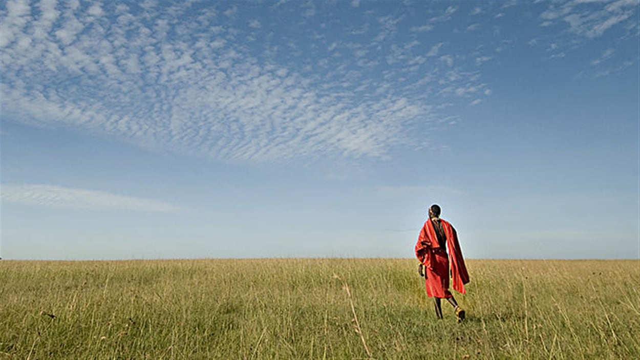 Les Maasaï sont un peuple africain indigène semi-nomade 
