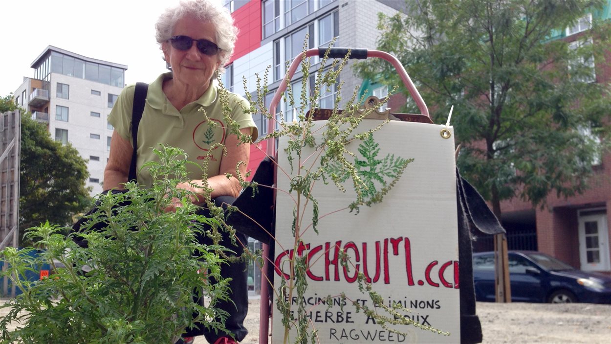 Irène Mayer se promène maintenant avec un petit chariot et un t-shirt sur lesquels son site web est bien identifié: atchoum.ca