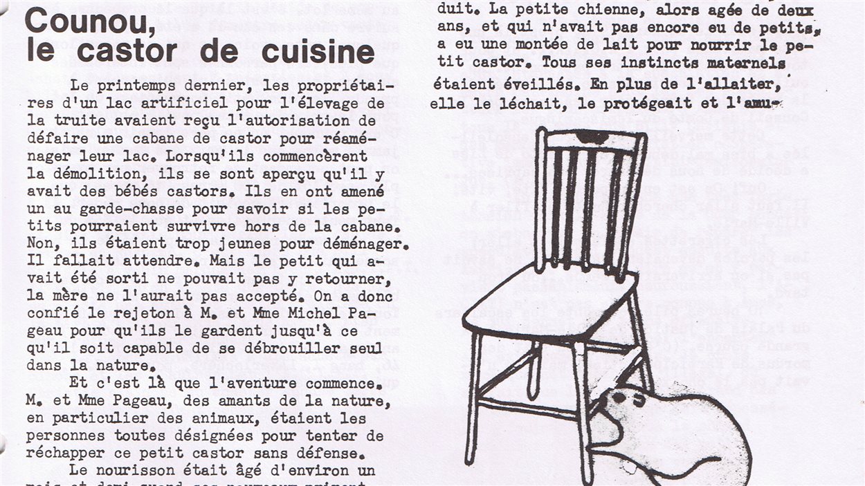 L'article de Laurier Larouche sur Michel Pageau et son castor