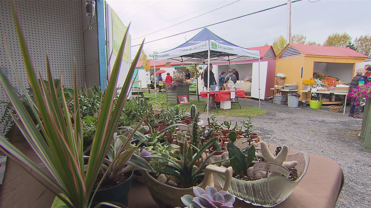 Le marché public de Sainte-Flavie