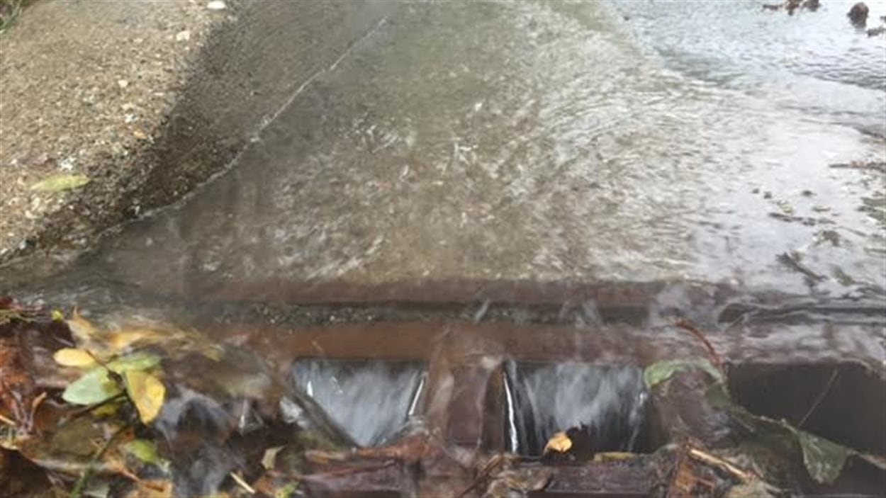 De grandes quantités de pluie se déversent dans les égoûts pluviaux à Halifax.