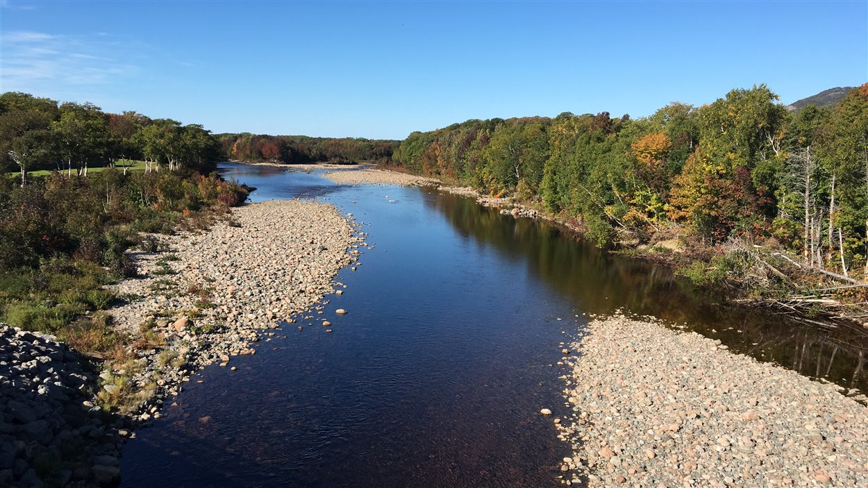 Le saumon est de retour dans la rivière Chéticamp après des travaux de