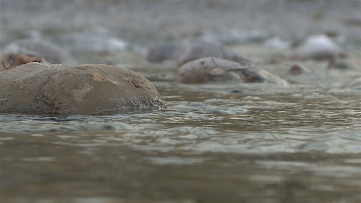 La rivière Sheep à Okotoks dans le sud de l'Alberta.