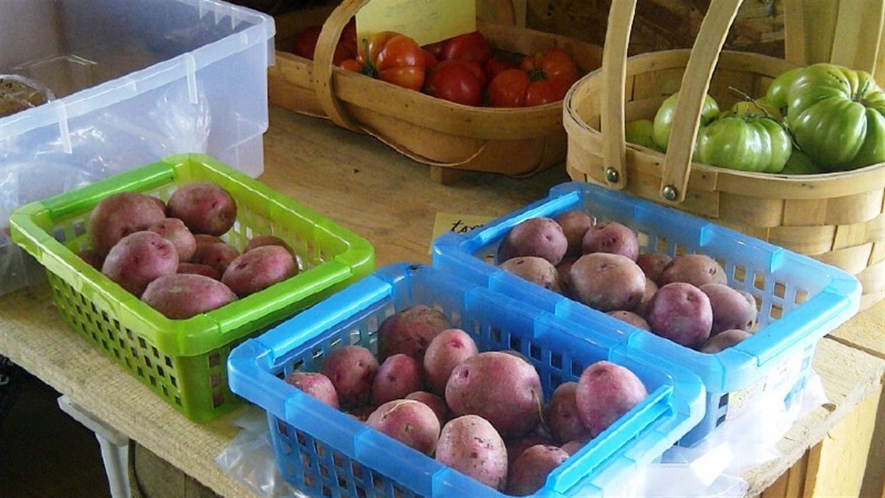 Pommes de terre, tomates et piments