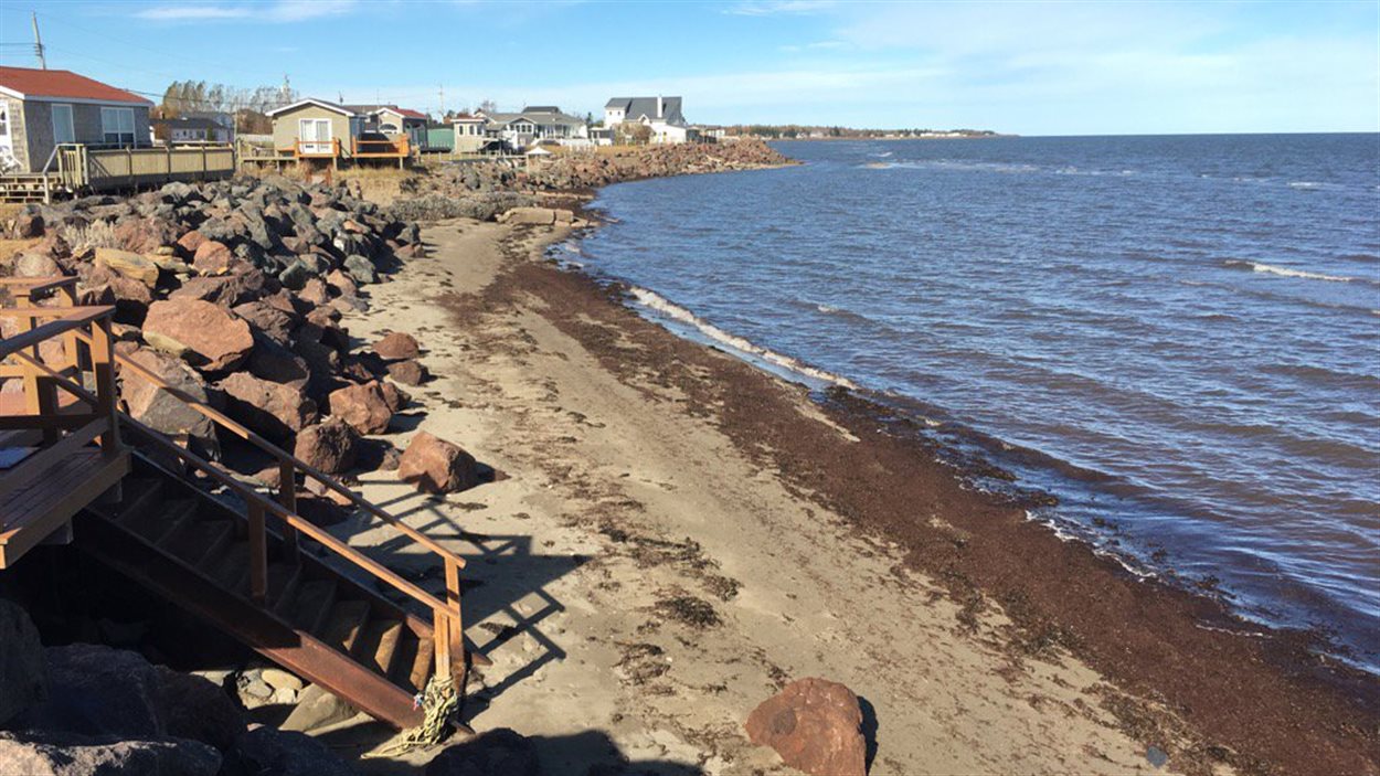 Des résidents de Cap-des-Caissie ont fait installer des rochers pour contrer l'érosion
