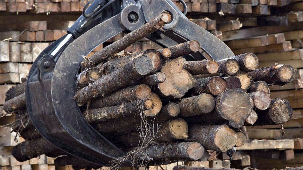 Billes de bois manipulées par de l'équipement lourd