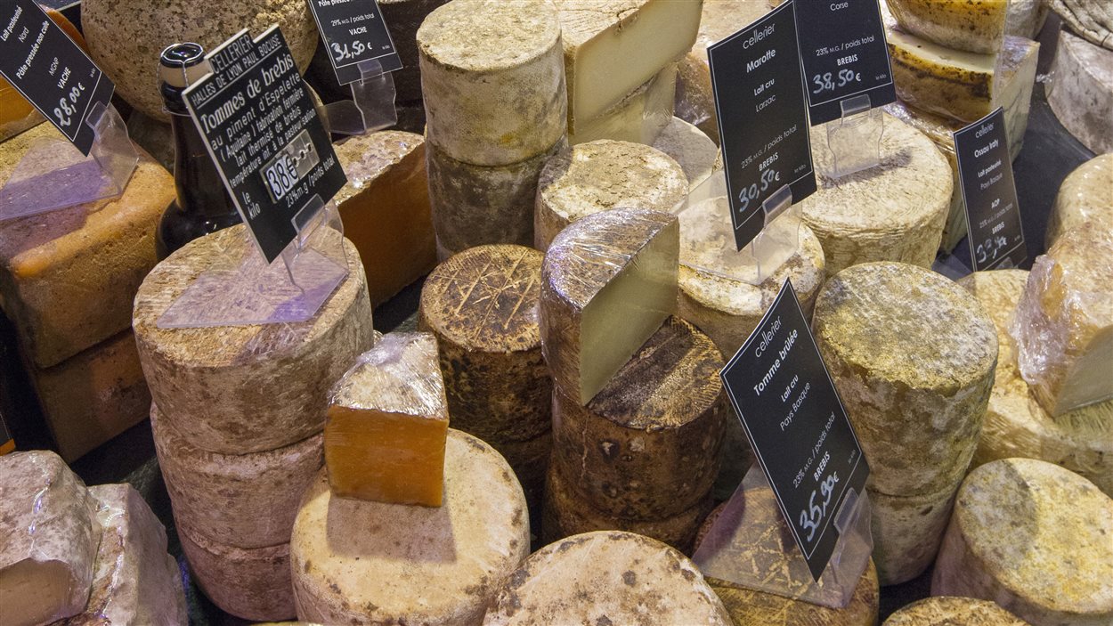 Des fromages en montre dans un magasin de Lyon, en France