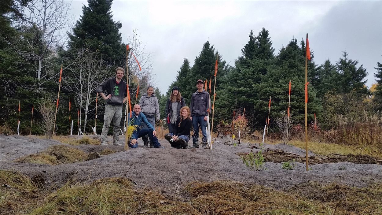 Des étudiants en Techniques du milieu naturel du Cégep de Saint-Félicien dans la forêt comestible.