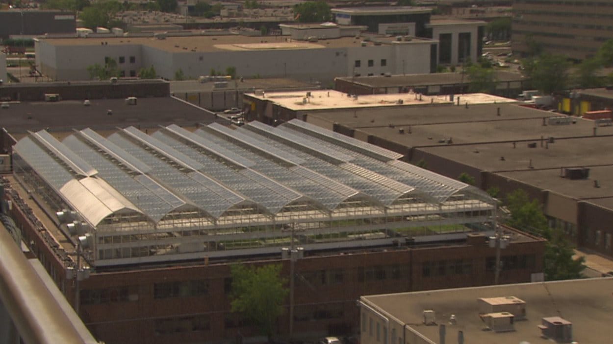 Les toits des immeubles fournissent des surfaces en pleine ville, à proximité des consommateurs. 