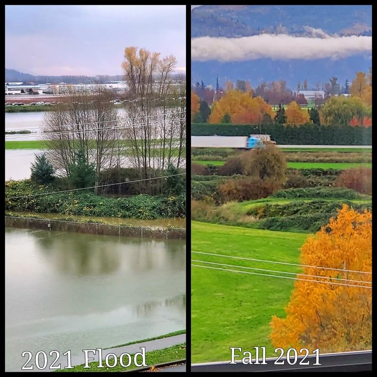 Itinabing larawan pagkukumpara bago at pagkatapos mabahaan ang Delair Park sa Abbotsford B.C.