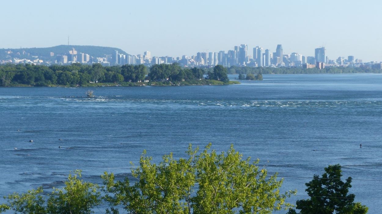 Le fleuve et la ville de Montréal.