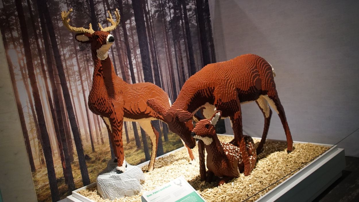 Plusieurs sculptures fascinantes réalisées en LEGO, signées par l’artiste Sean Kenney, sont présentées à Brick Masters Studio à Science Nord, offrant une expérience immersive aux visiteurs.
