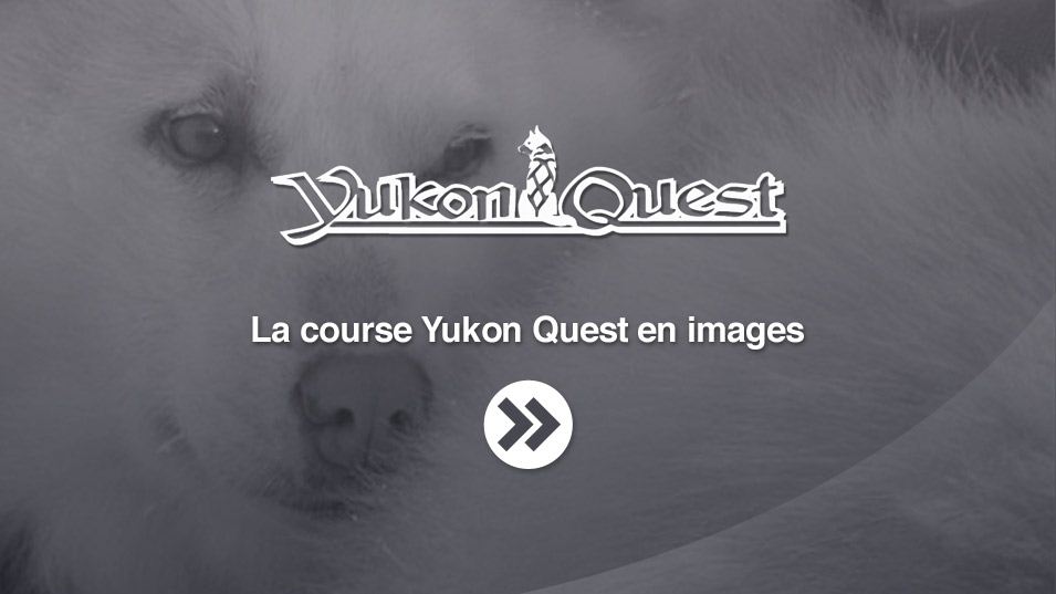 Yukon-quest0