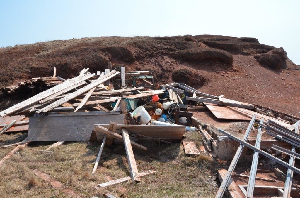 L'île Brion une réserve écologique abandonnée, selon un biologiste