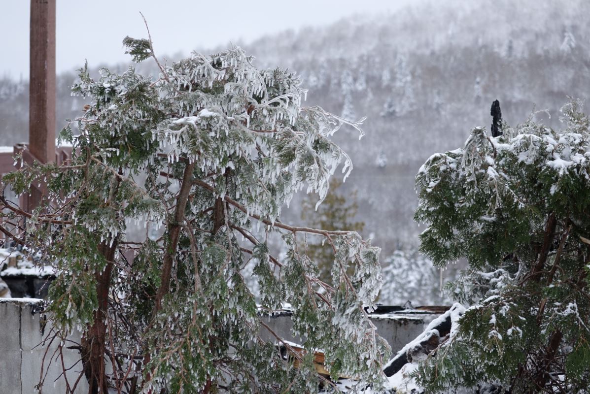 Incendie à SaintGabrieldeRimouski le brasier renaît de ses cendres