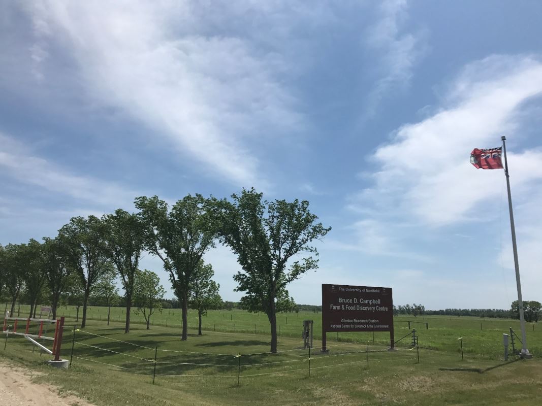 Découvrir les dessous de l'agriculture à Glenlea RadioCanada